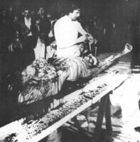 1981_1990\1985.0284p24.jpg; 1985.0284; ;